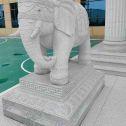 济宁 白麻花岗岩动物异形石雕-大象