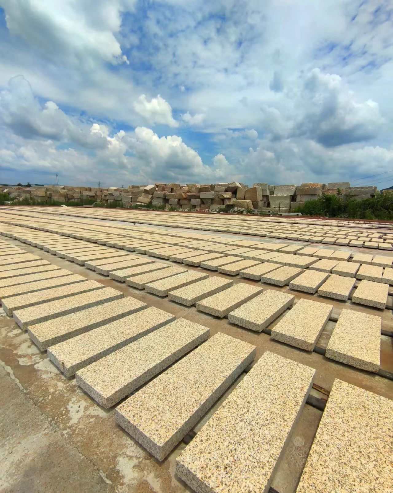 济宁 黄金麻花岗岩荔枝面地铺石防护中