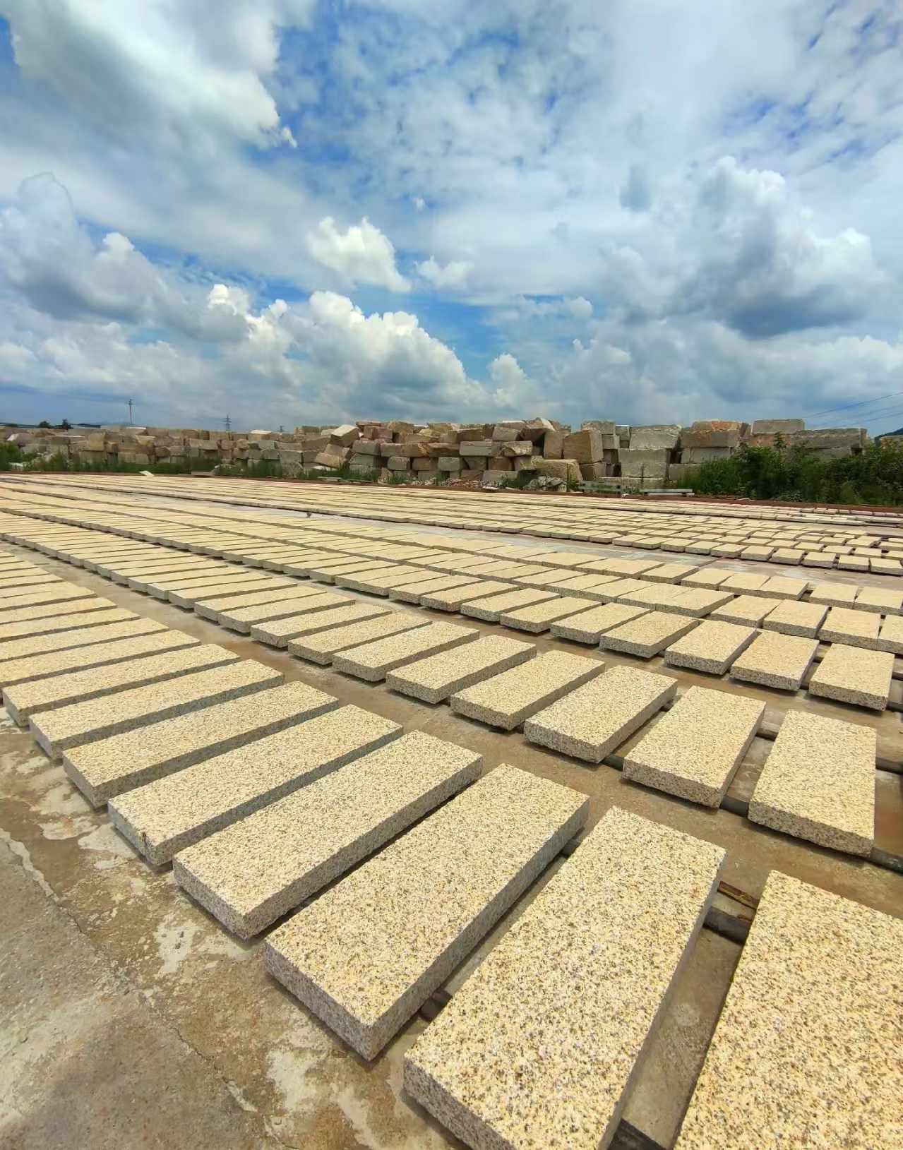济宁 黄金麻荔枝面花岗岩石材地铺石防护中
